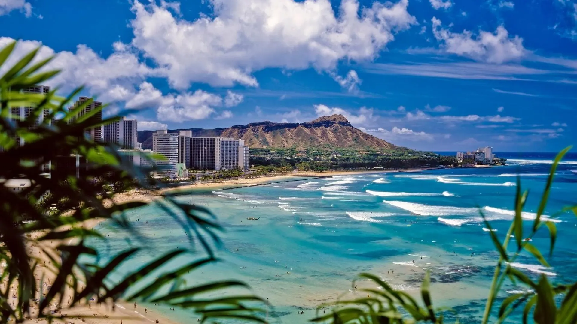 Apartment Newly Renovated ,1 Block To Waikiki Beach, Free Parking Honolulu