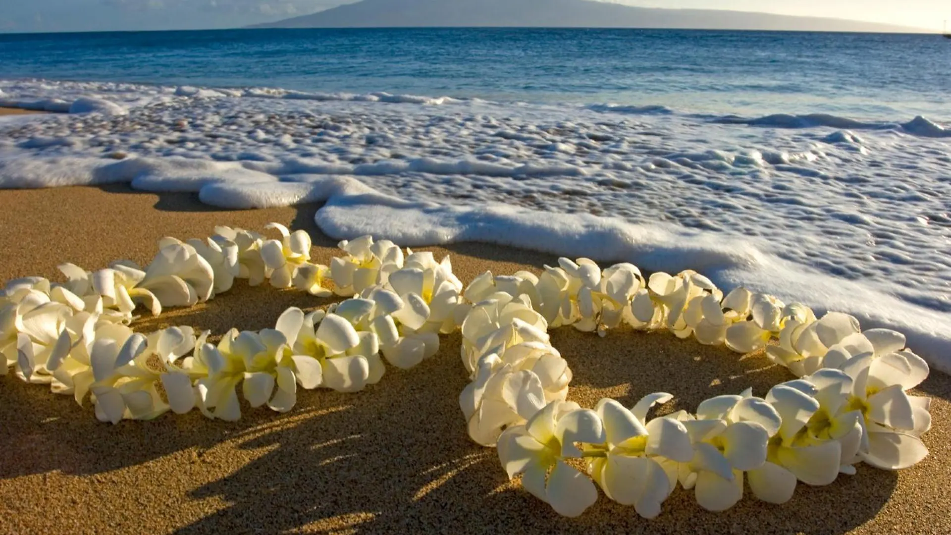 Newly Renovated ,1 Block To Waikiki Beach, Free Parking Honolulu United States
